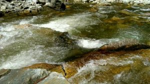 Water Place