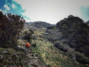 Grahan Trek