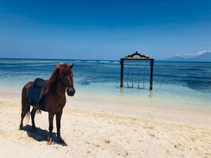 Bali Beach view