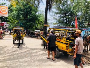 Bali local Transport