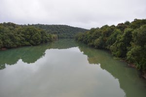 Dandeli View