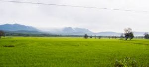 Bababudangiri, Chikamagluru
