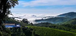 Coonoor View