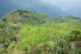 Dolphins Nose View, Coonoor