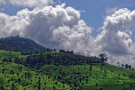 Kotagiri Nilgiris