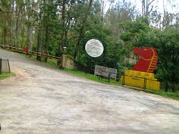 Kudremukh National Park Main Road