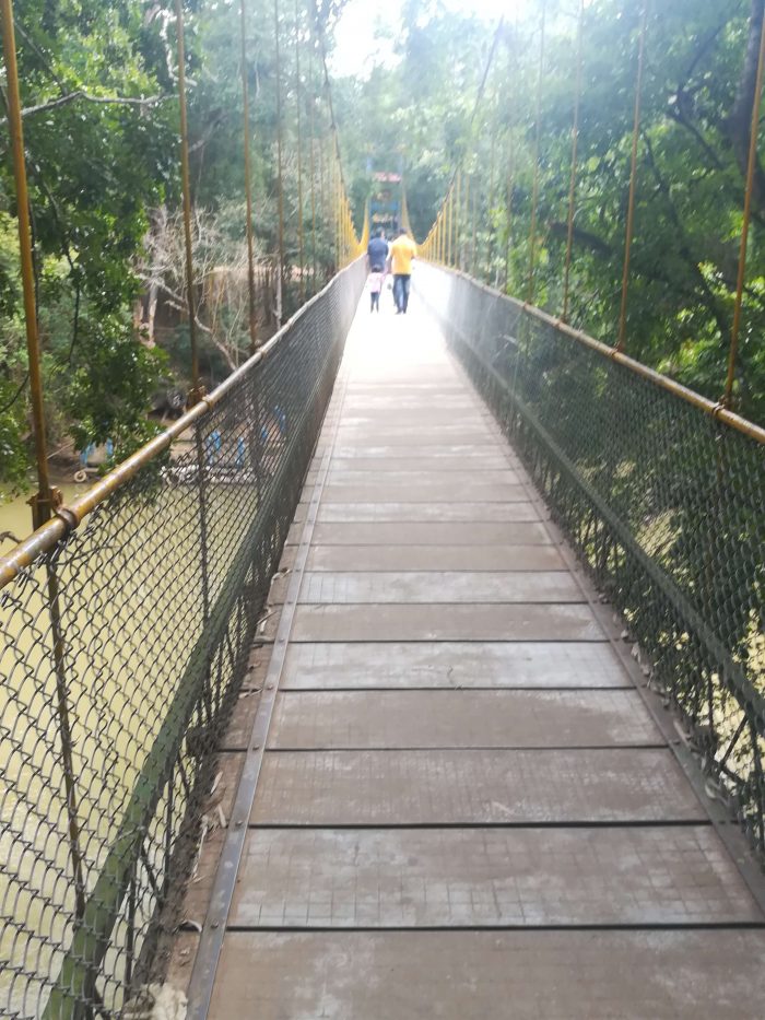 Nisargadhama Hanging bridge 