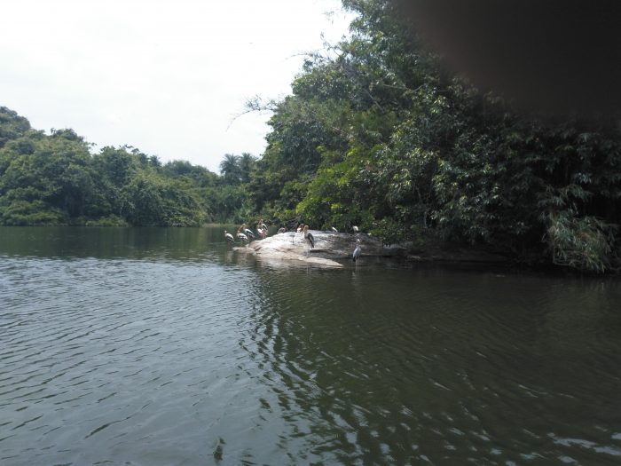 Ranganatitu Bird Sanctuary