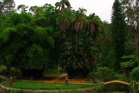 Sims Park in Coonoor