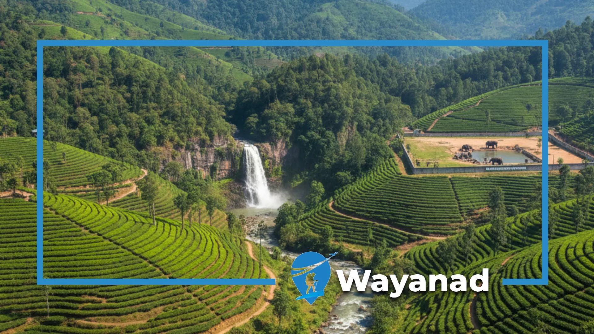 Ultimate Guide:  Planning Your Wayanad Trip